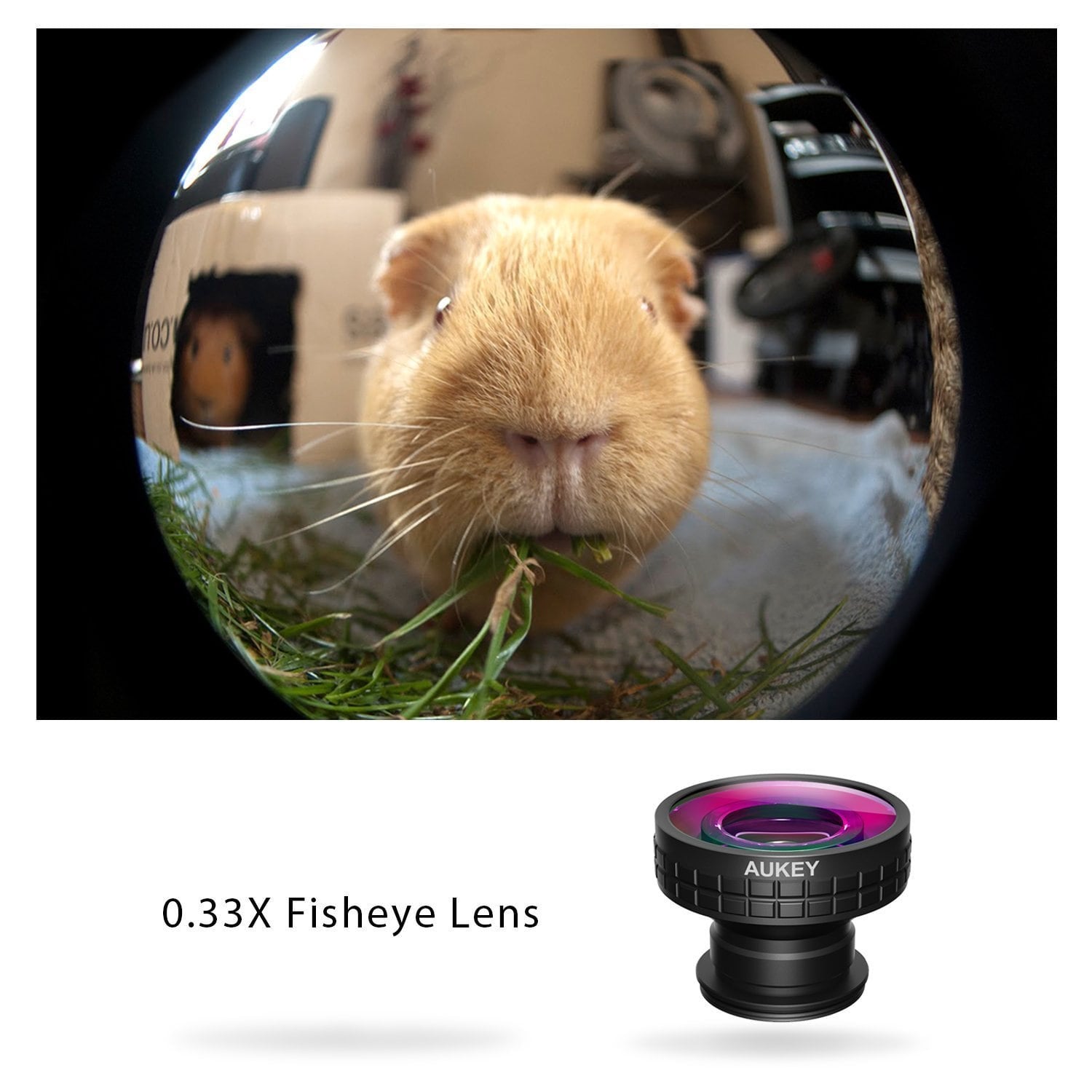 AUKEY PL-F2 Ora Lens Universal 180° Fisheye Clip-on Cell Phone Camera Lens - Aukey Malaysia Official Store