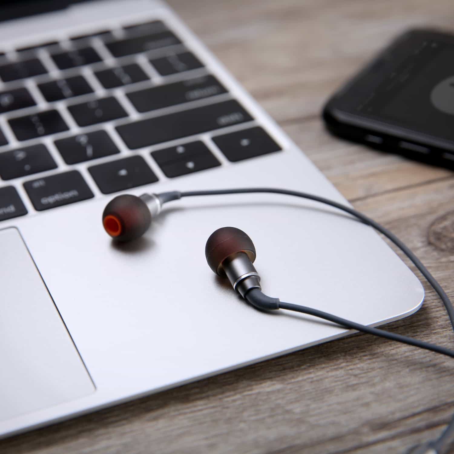 EP-C17 In Ear Hi-Res Audio Wired Earbud