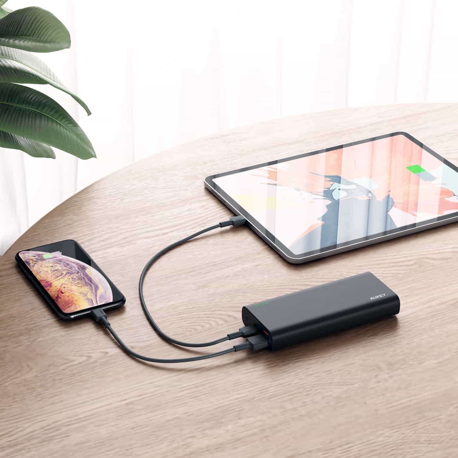 PB-XD13 20000mAh USB C QC3.0 And Power Delivery Premium Power Bank